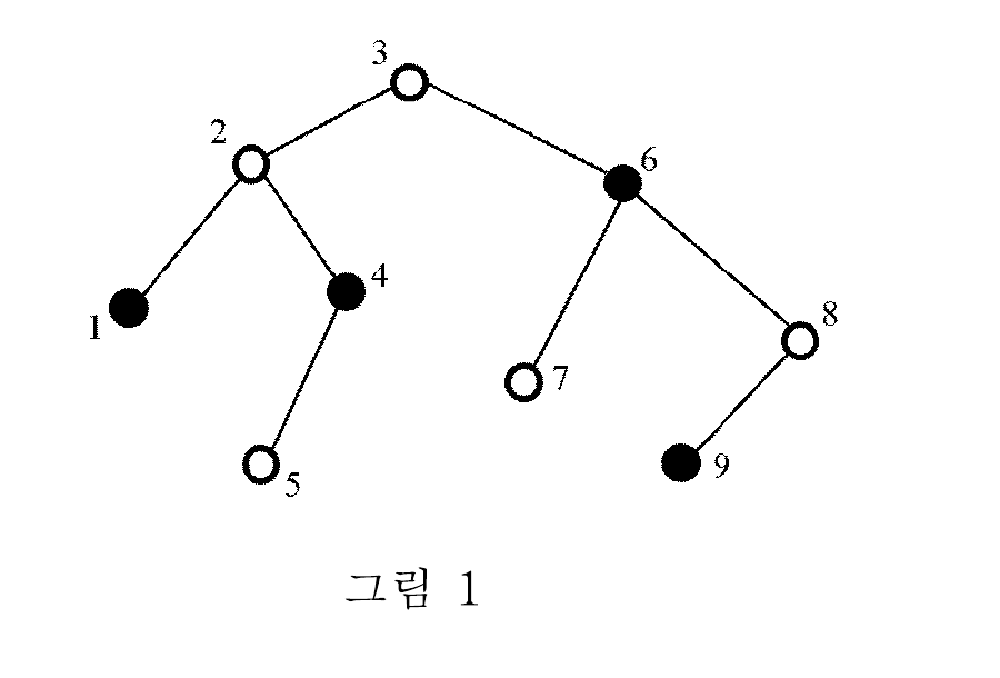 검은 돌 figure 1
